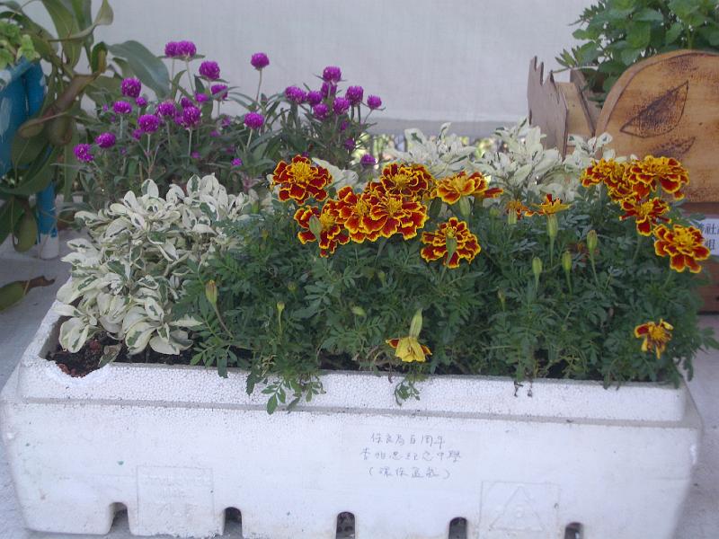 IMGP3288.JPG