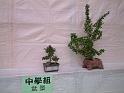 DSCF0223