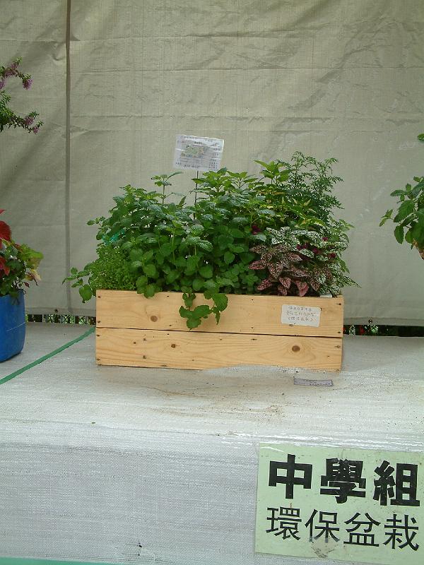 DSCF0166.JPG