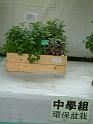 DSCF0167