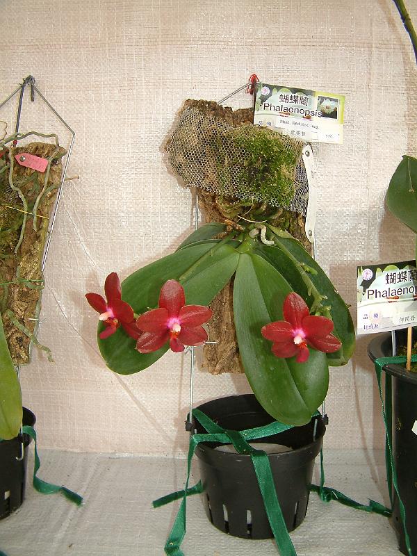 DSCF0004.JPG