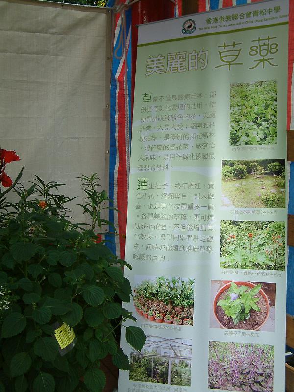 DSCF0007.JPG