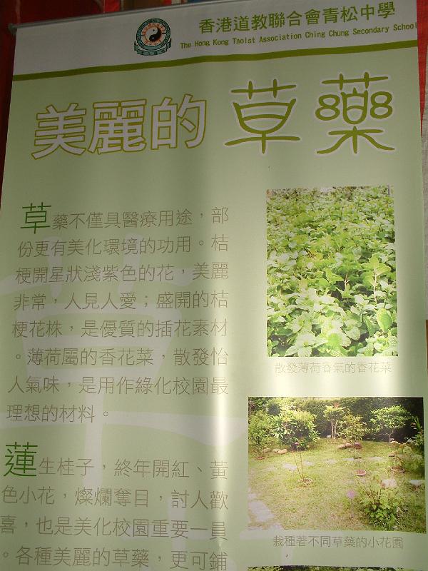 DSCF0008.JPG