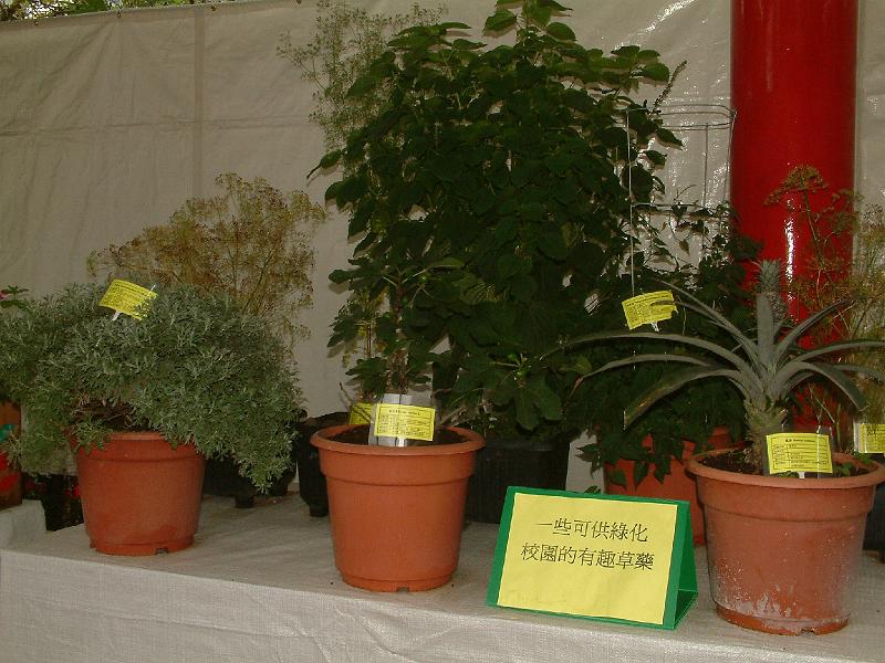 DSCF0015.JPG