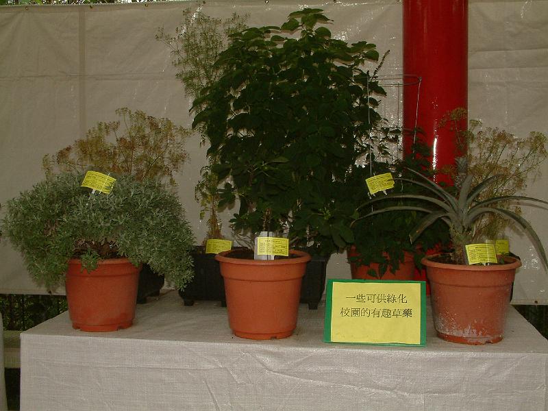 DSCF0016.JPG
