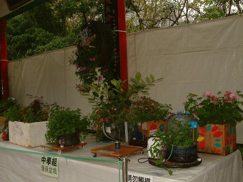 DSCF0017.JPG