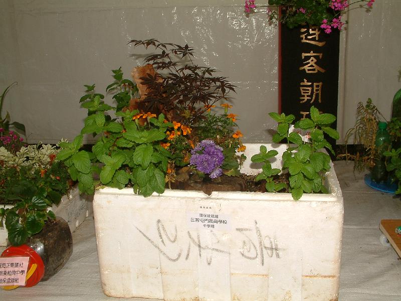 DSCF0019.JPG