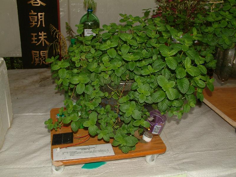 DSCF0020.JPG