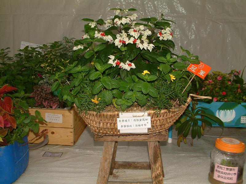 DSCF0026.JPG