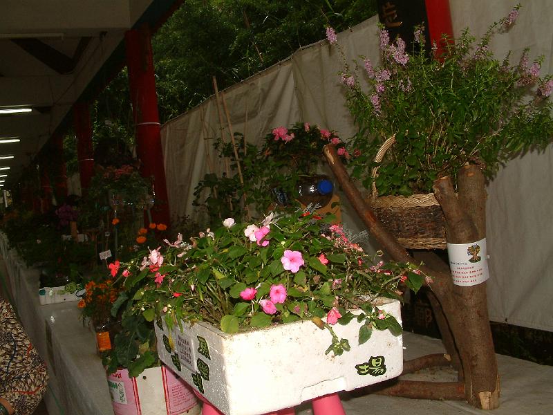 DSCF0037.JPG
