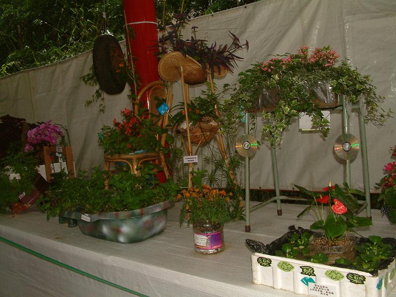 DSCF0039.JPG