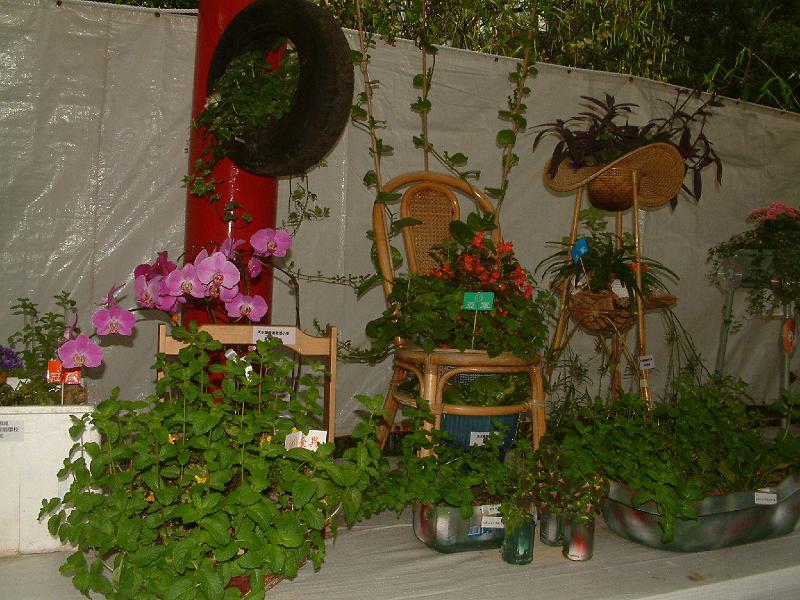 DSCF0041.JPG