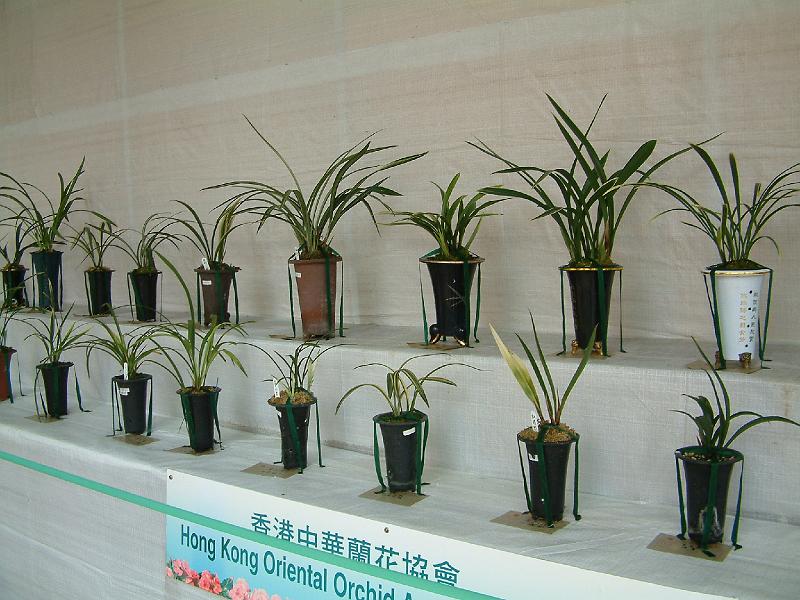 DSCF0078.JPG