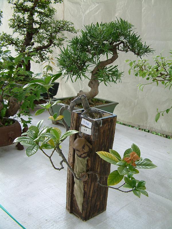 DSCF0084.JPG