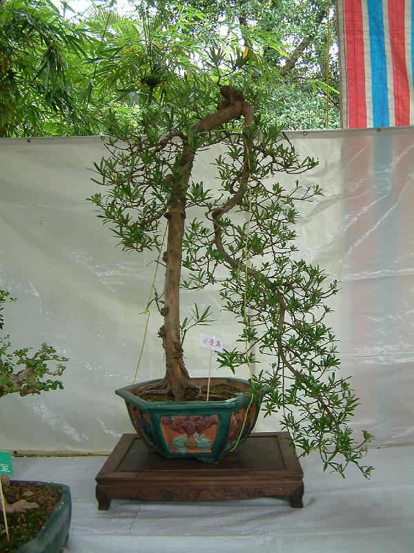 DSCF0089.JPG