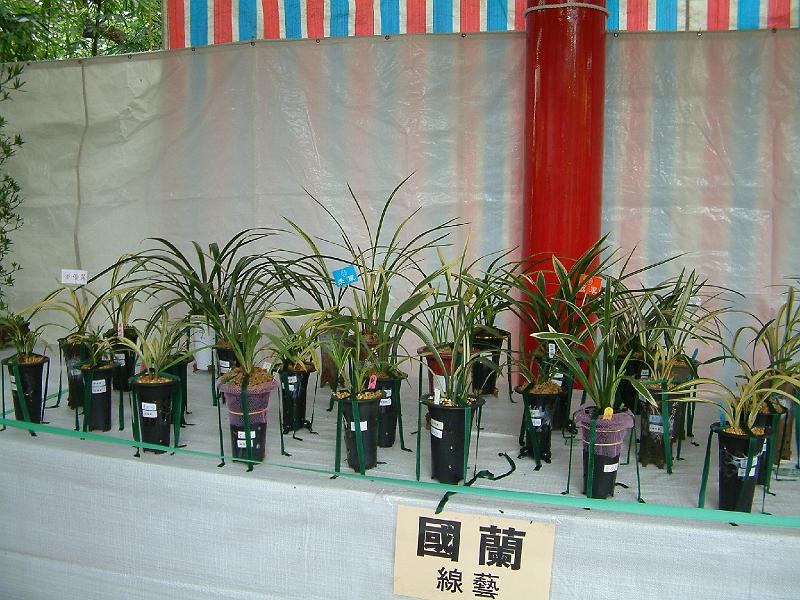 DSCF0093.JPG