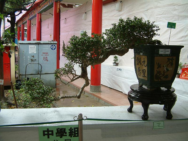 DSCF0094.JPG