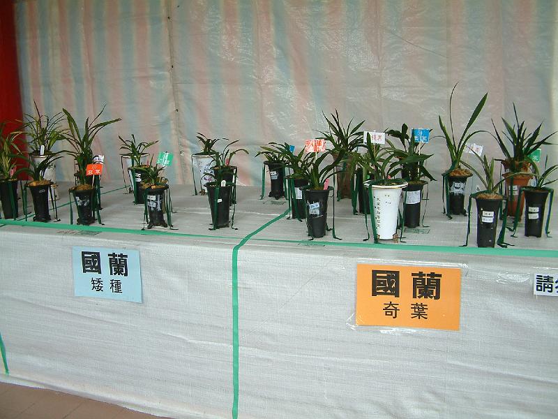 DSCF0099.JPG