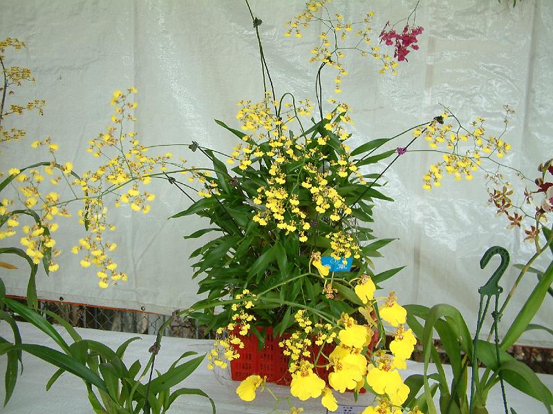 DSCF0113.JPG
