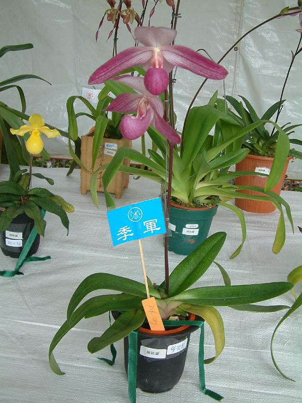 DSCF0114.JPG