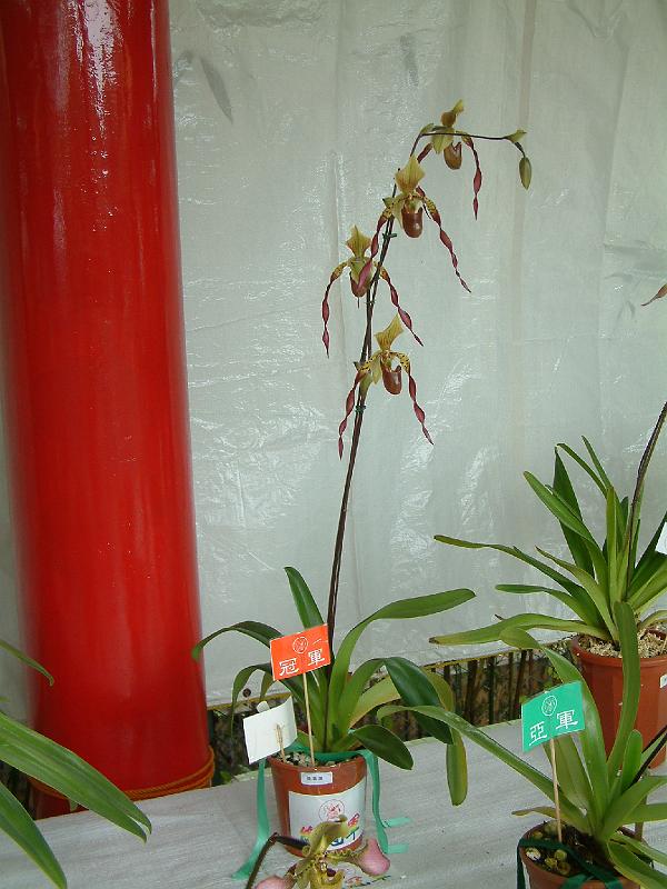 DSCF0116.JPG