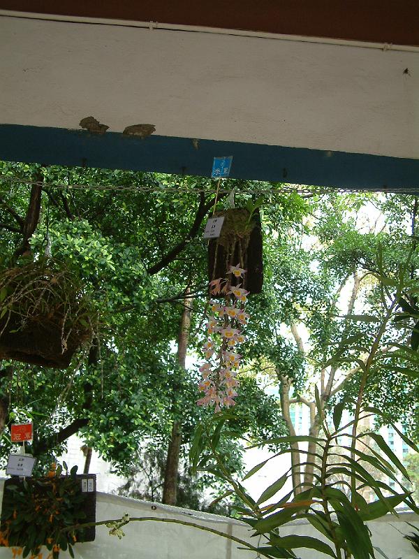 DSCF0120.JPG