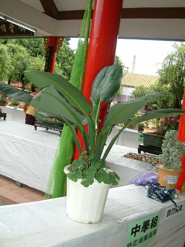 DSCF0144.JPG