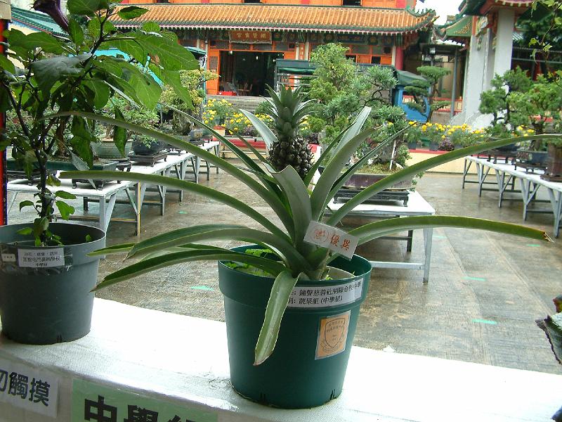 DSCF0149.JPG