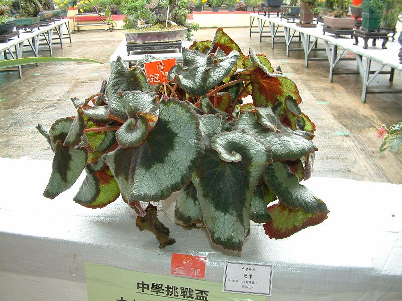 DSCF0150.JPG
