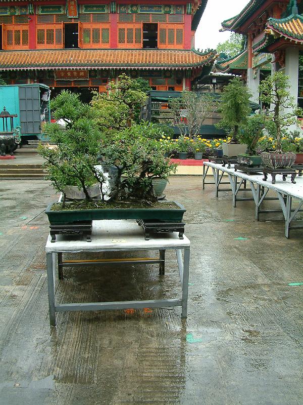 DSCF0154.JPG