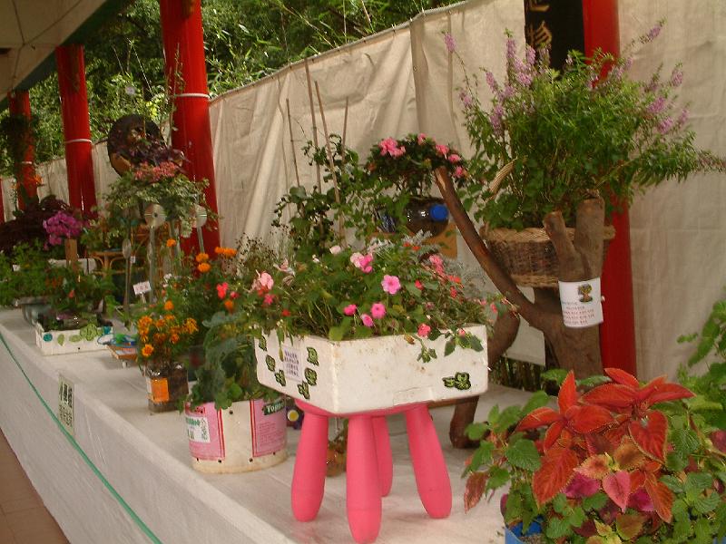DSCF0180.JPG