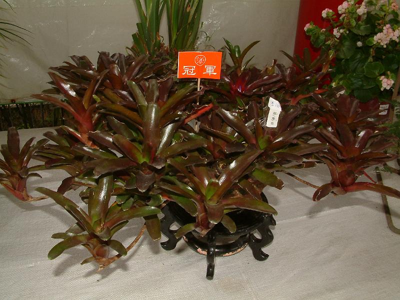 DSCF0191.JPG
