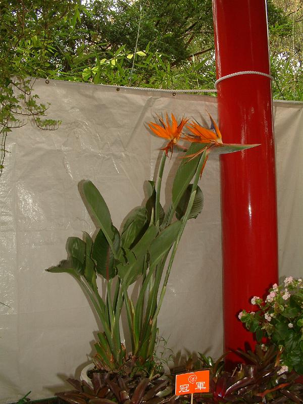 DSCF0192.JPG