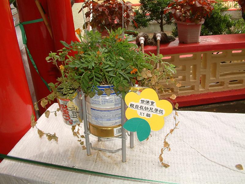 DSCF0203.JPG