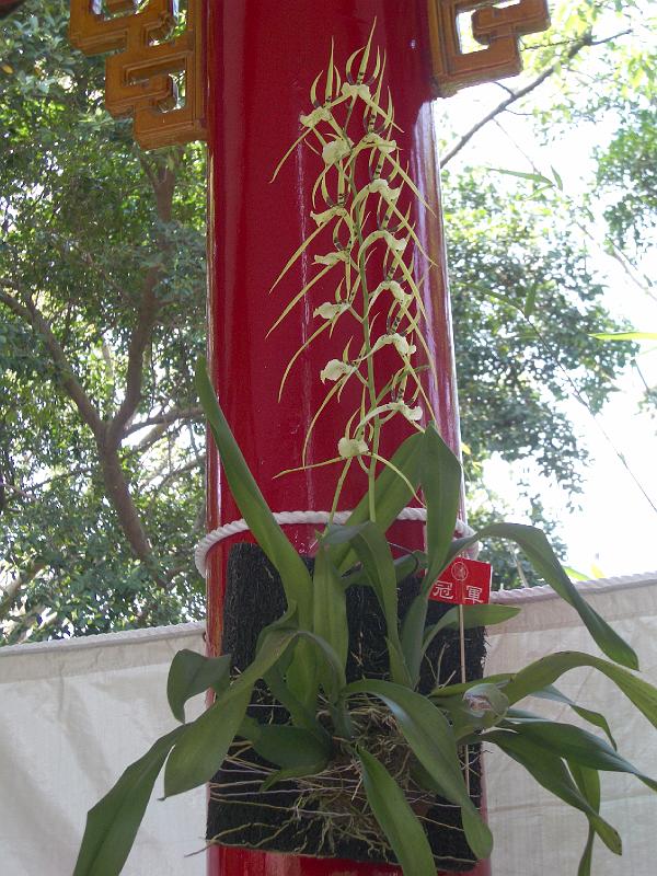 IMGP3293.JPG
