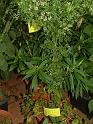 DSCF0012