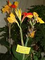 DSCF0013