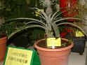 DSCF0014
