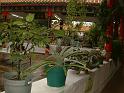 DSCF0038