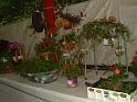 DSCF0039
