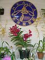 DSCF0060