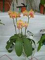DSCF0066