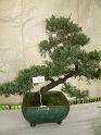 DSCF0085