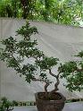 DSCF0087