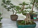 DSCF0088