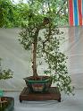 DSCF0089