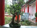 DSCF0095