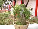 DSCF0097