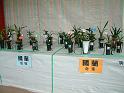DSCF0099