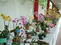 DSCF0108